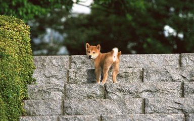 下载ok钱包